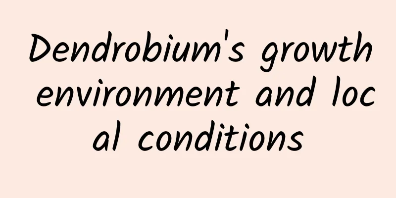 Dendrobium's growth environment and local conditions