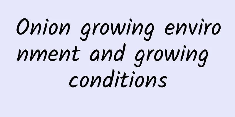 Onion growing environment and growing conditions