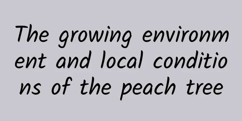 The growing environment and local conditions of the peach tree