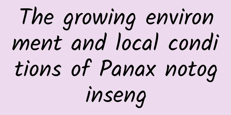 The growing environment and local conditions of Panax notoginseng