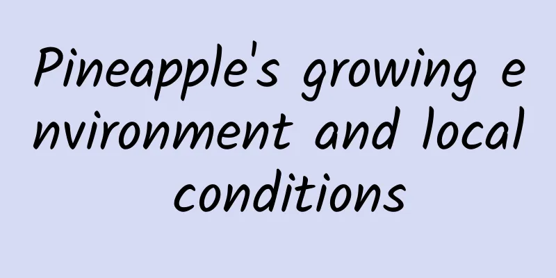 Pineapple's growing environment and local conditions