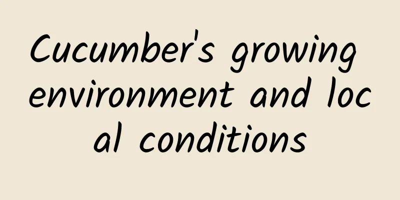 Cucumber's growing environment and local conditions