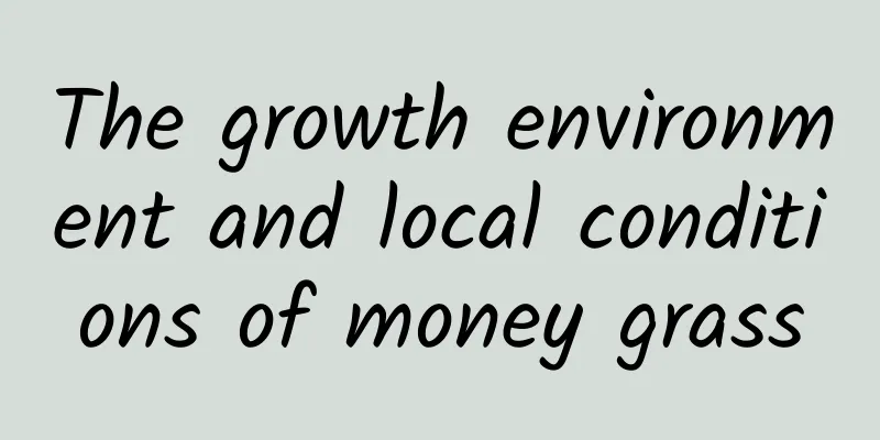 The growth environment and local conditions of money grass