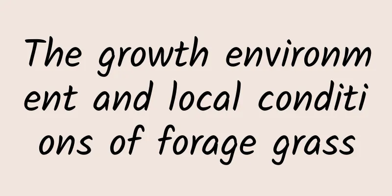 The growth environment and local conditions of forage grass