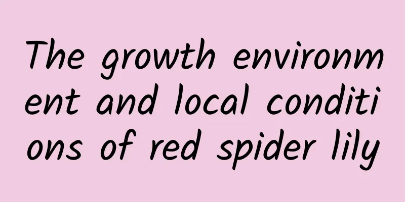 The growth environment and local conditions of red spider lily