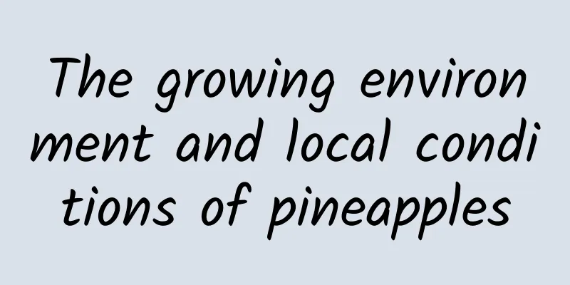 The growing environment and local conditions of pineapples