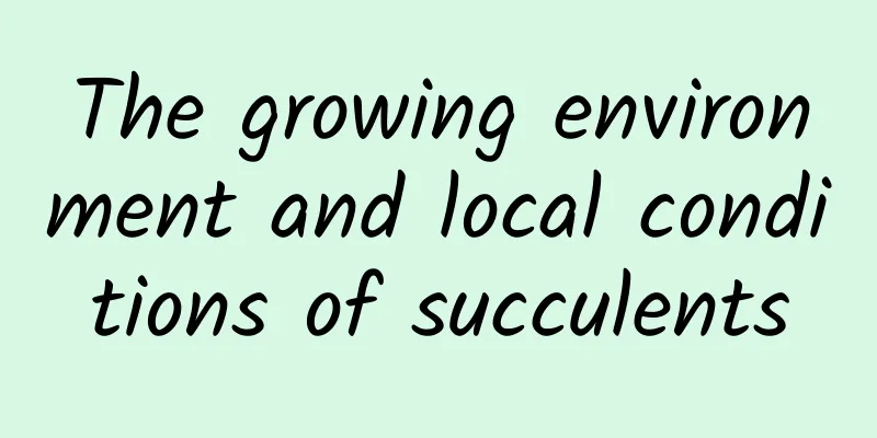 The growing environment and local conditions of succulents
