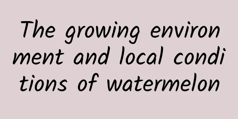 The growing environment and local conditions of watermelon