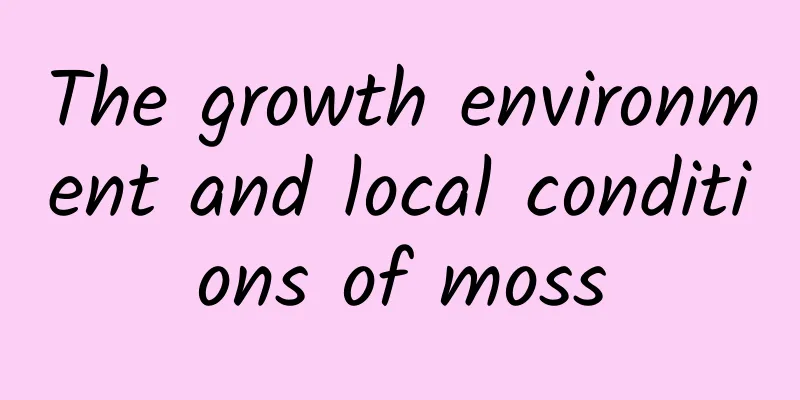 The growth environment and local conditions of moss
