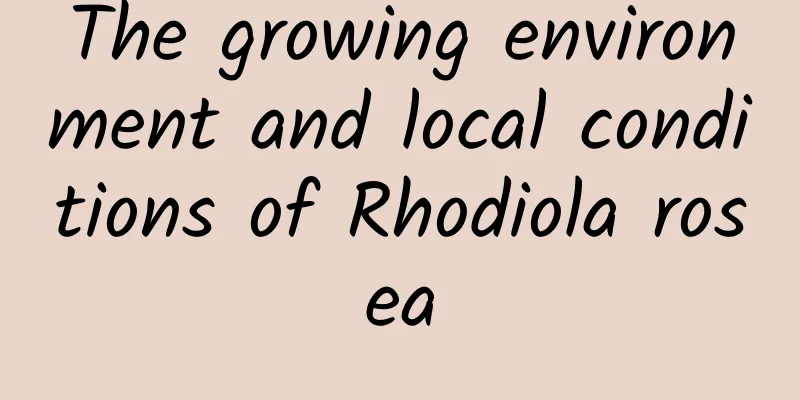 The growing environment and local conditions of Rhodiola rosea