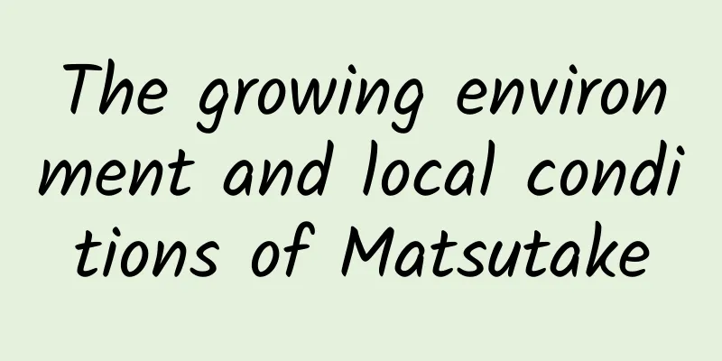 The growing environment and local conditions of Matsutake