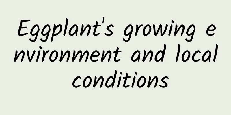 Eggplant's growing environment and local conditions