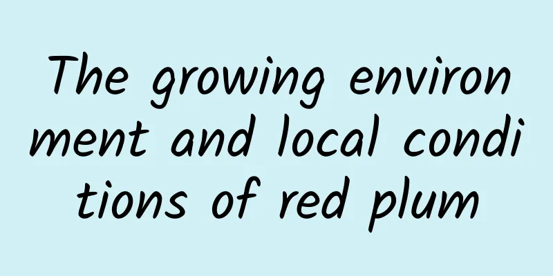 The growing environment and local conditions of red plum