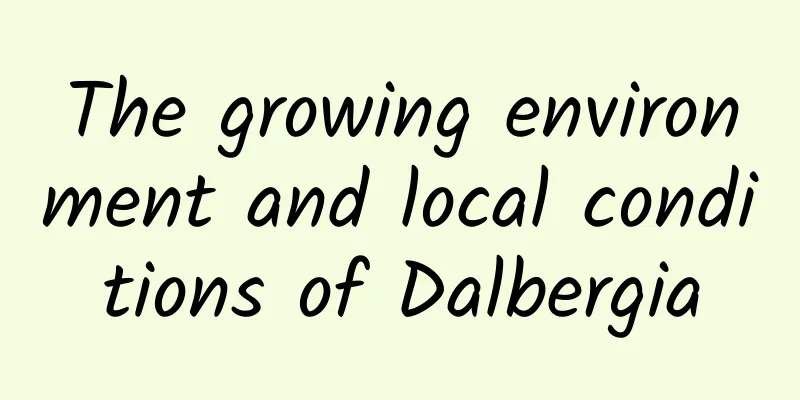 The growing environment and local conditions of Dalbergia