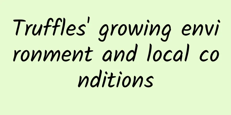 Truffles' growing environment and local conditions