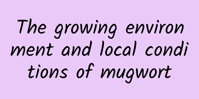 The growing environment and local conditions of mugwort