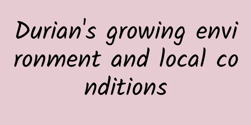 Durian's growing environment and local conditions