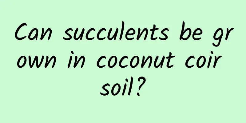 Can succulents be grown in coconut coir soil?