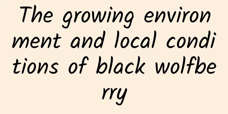The growing environment and local conditions of black wolfberry