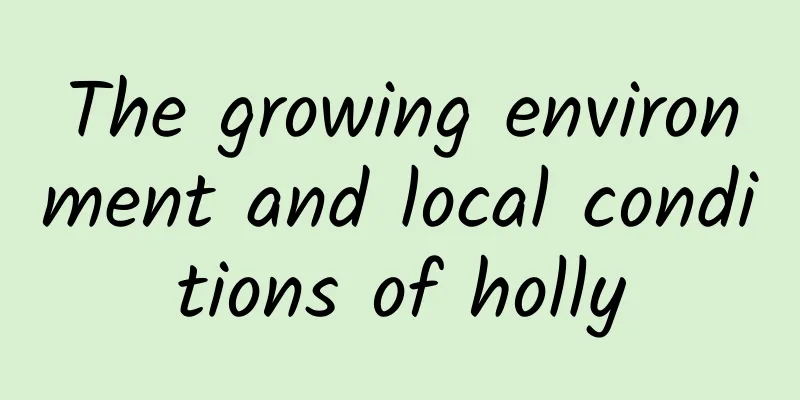 The growing environment and local conditions of holly