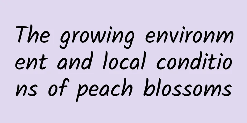 The growing environment and local conditions of peach blossoms