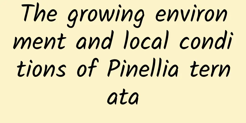 The growing environment and local conditions of Pinellia ternata