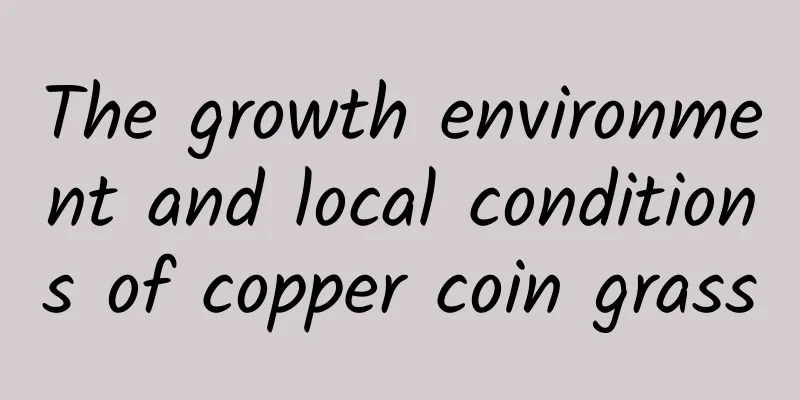 The growth environment and local conditions of copper coin grass