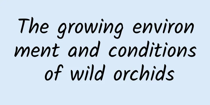 The growing environment and conditions of wild orchids