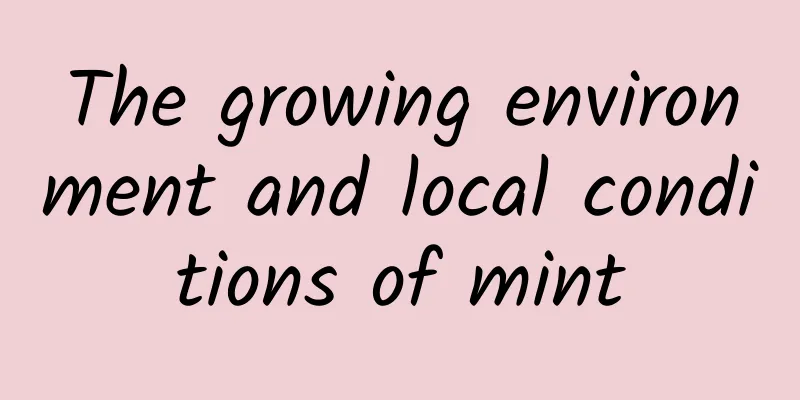 The growing environment and local conditions of mint