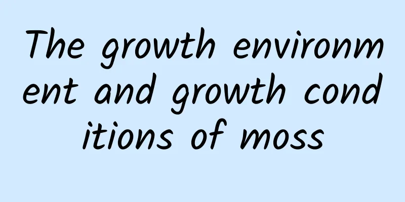 The growth environment and growth conditions of moss