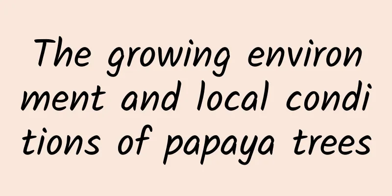 The growing environment and local conditions of papaya trees