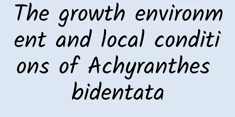 The growth environment and local conditions of Achyranthes bidentata