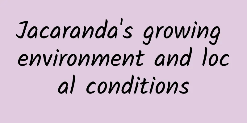 Jacaranda's growing environment and local conditions