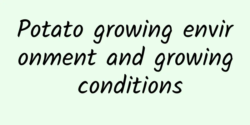 Potato growing environment and growing conditions