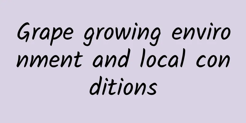 Grape growing environment and local conditions