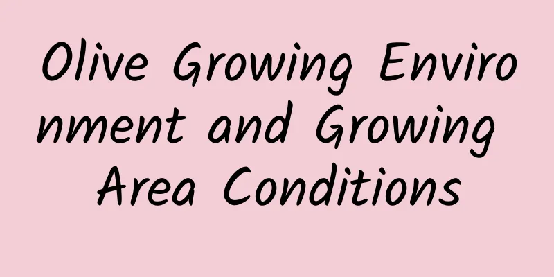 Olive Growing Environment and Growing Area Conditions