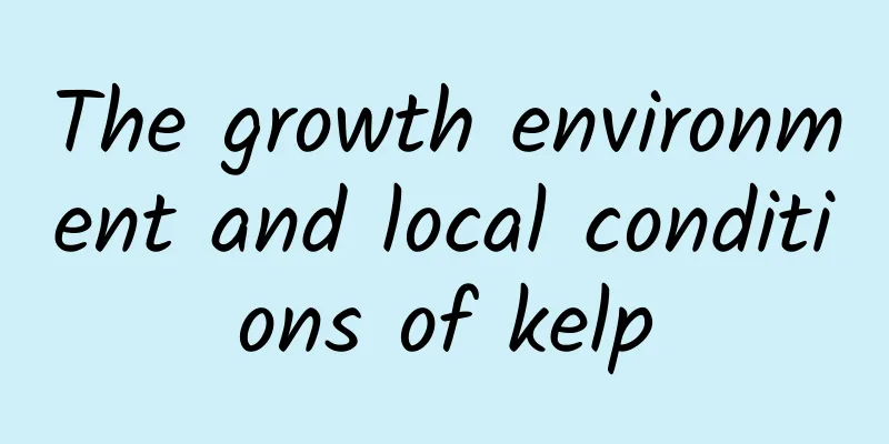 The growth environment and local conditions of kelp
