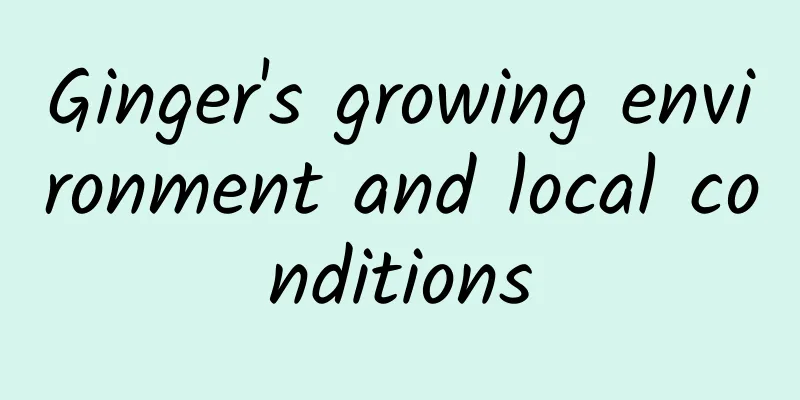 Ginger's growing environment and local conditions