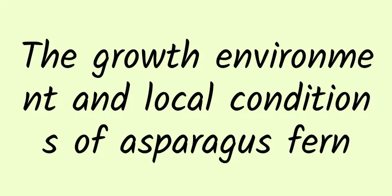 The growth environment and local conditions of asparagus fern