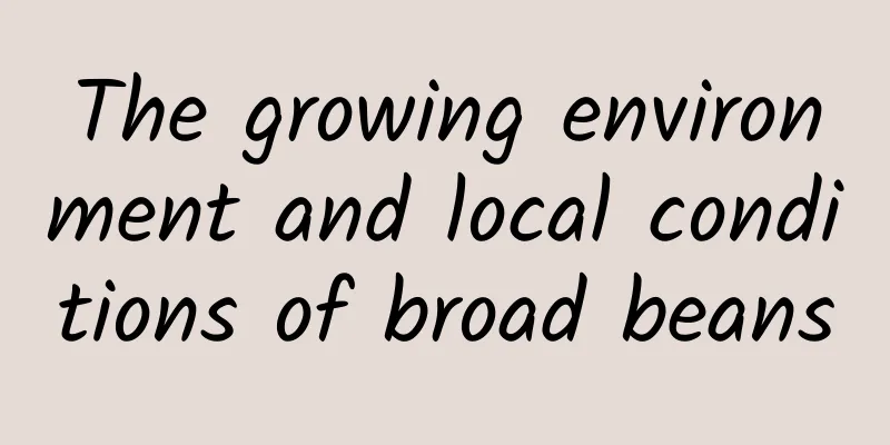 The growing environment and local conditions of broad beans