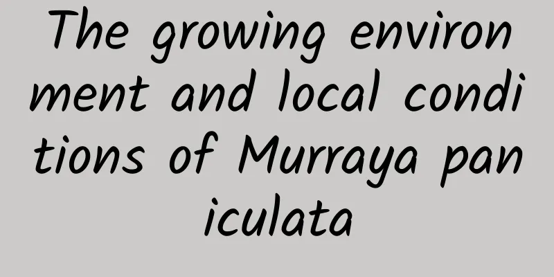 The growing environment and local conditions of Murraya paniculata