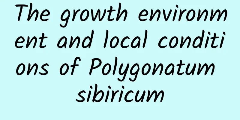 The growth environment and local conditions of Polygonatum sibiricum