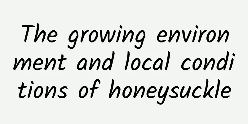 The growing environment and local conditions of honeysuckle
