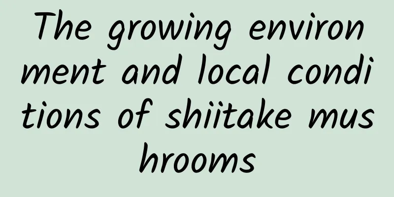 The growing environment and local conditions of shiitake mushrooms