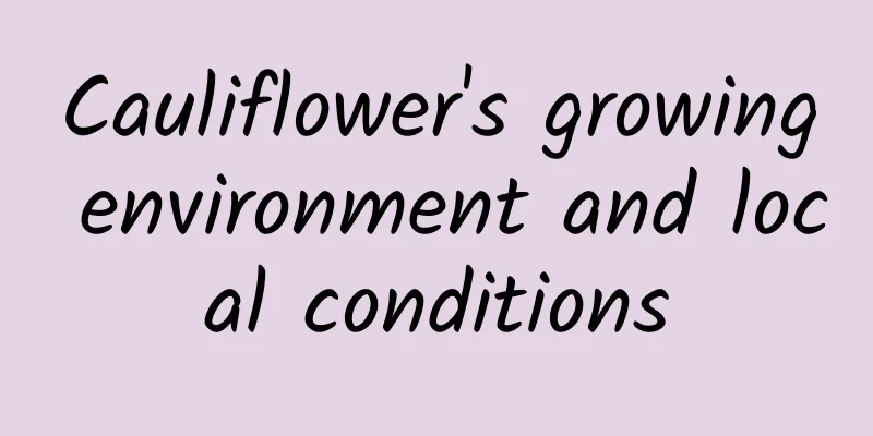 Cauliflower's growing environment and local conditions