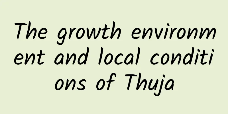 The growth environment and local conditions of Thuja