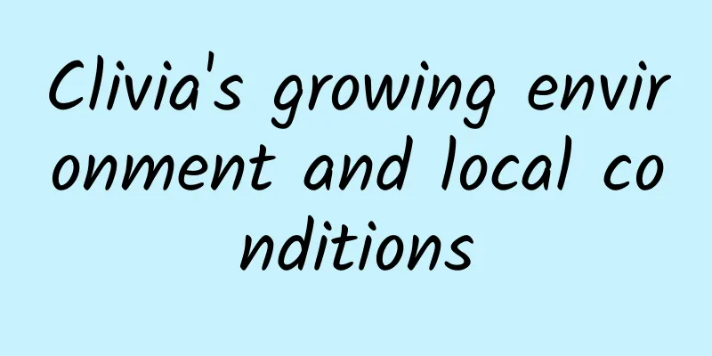 Clivia's growing environment and local conditions
