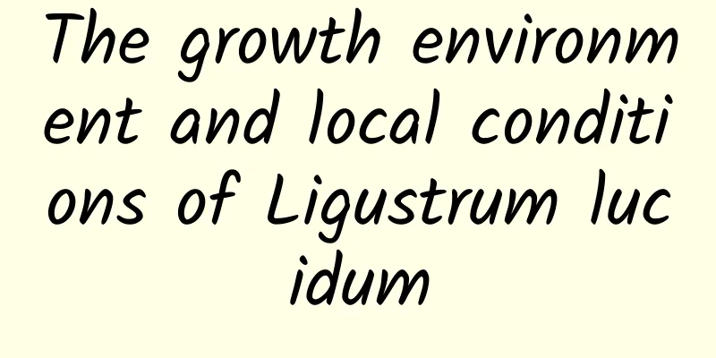The growth environment and local conditions of Ligustrum lucidum