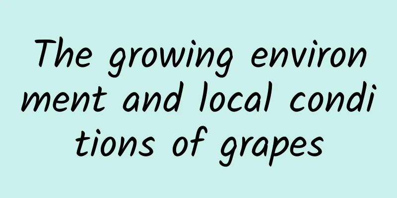 The growing environment and local conditions of grapes