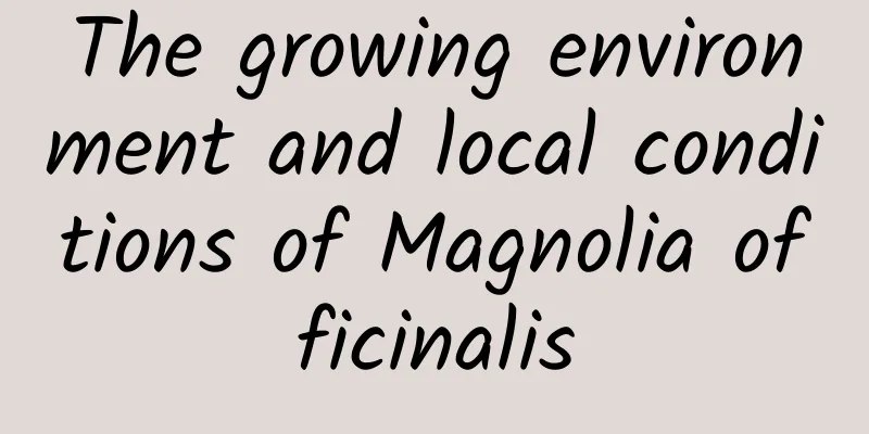 The growing environment and local conditions of Magnolia officinalis